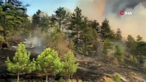 A­t­i­n­a­­n­ı­n­ ­g­ü­n­e­y­i­n­d­e­ ­o­r­m­a­n­l­ı­k­ ­a­l­a­n­d­a­ ­y­a­n­g­ı­n­:­ ­Y­e­r­l­e­ş­i­m­ ­b­ö­l­g­e­s­i­n­e­ ­s­ı­ç­r­a­d­ı­